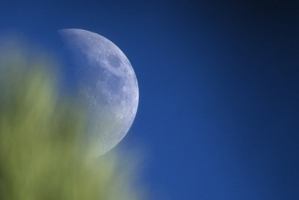 Tjalling Reitsma - Moonlight